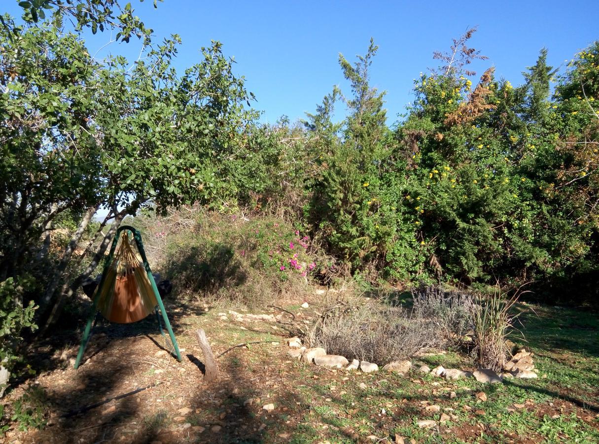HararitCabin In The View别墅 外观 照片