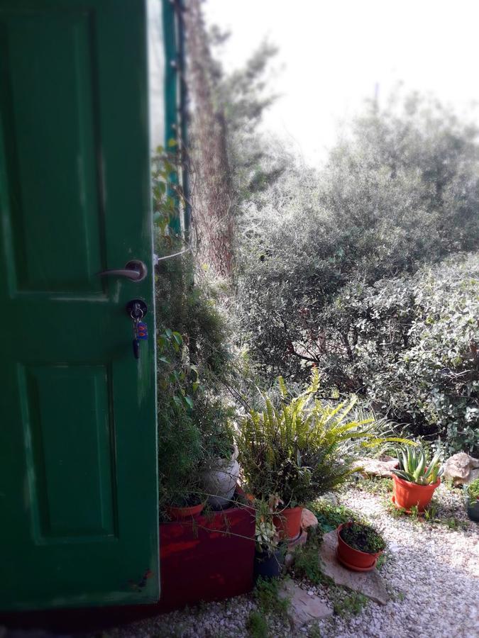 HararitCabin In The View别墅 外观 照片