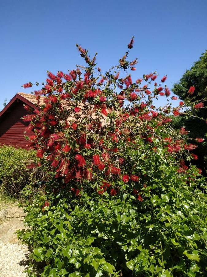 HararitCabin In The View别墅 外观 照片